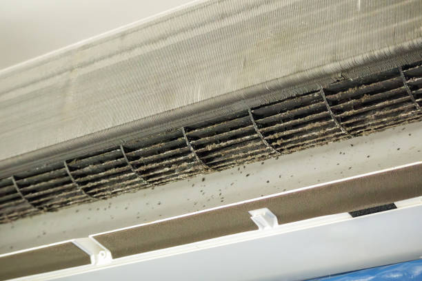 Best Ductwork Cleaning Services  in Wilderness Rim, WA